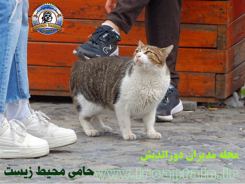 مجله مدیران دوراندیش